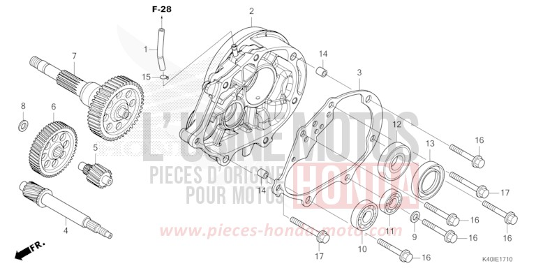 TRANSMISSION for Forza 125 MAT CYNOS GRAY METALLIC (NH312) from 2021